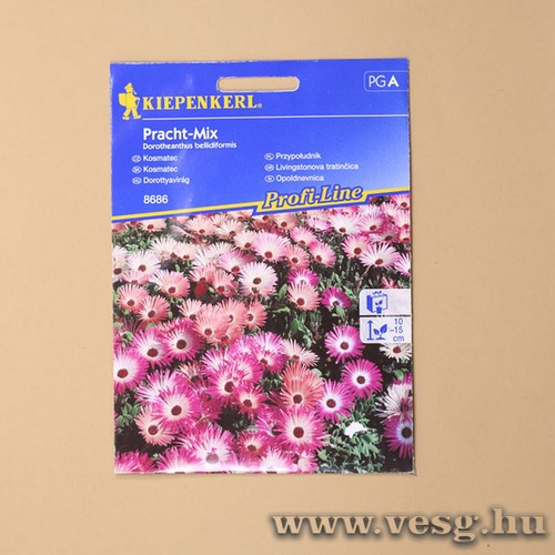 Dorottyavir�g / Pracht Mix / 1 csomag