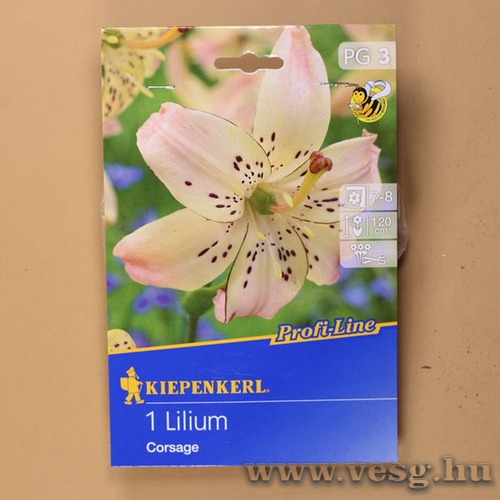 Liliom / Corsage / 1db