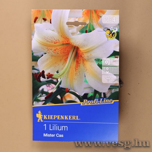 Liliom / Mister Cas / 1db