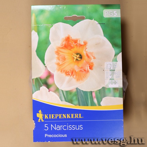 N�rcisz /Precocious/ 5db