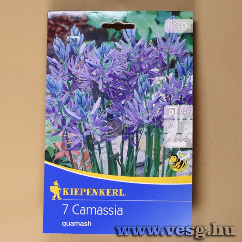 Pr�rigyerta 7db