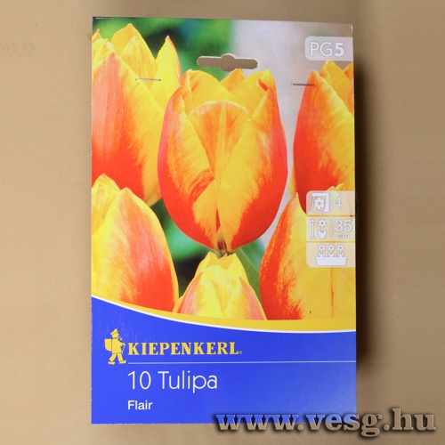 Tulip�n /Flair/ 10db