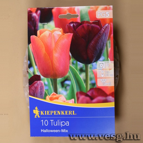 Tulip�n /Haloween Mix/ 10db