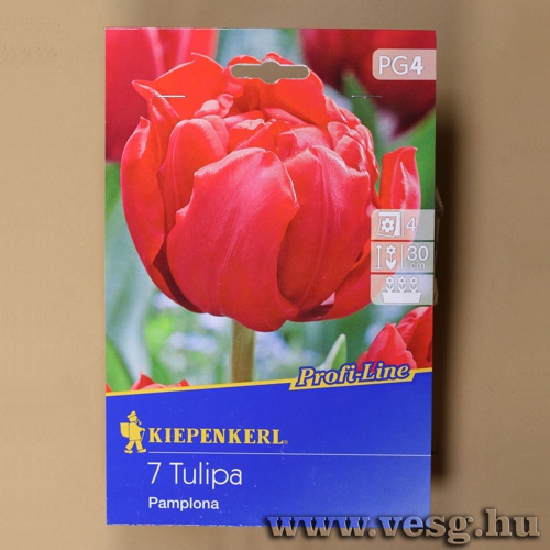 Tulip�n / Pamplona / 7db