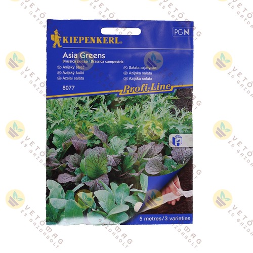 Vetőszalag Saláta / Ázsiai / 5m