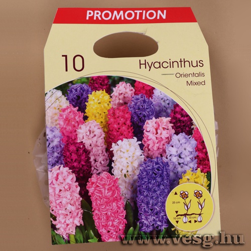 J�cint /Orientalis, Sz�nkever�k/ 10db