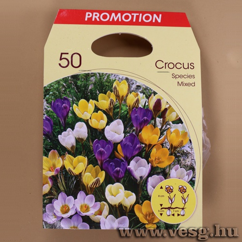 Kr�kusz / Botanikai - Sz�nkever�k / 50db