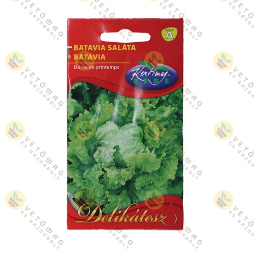 Saláta / Batávia / 2g