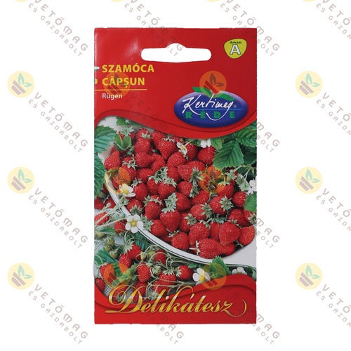 Szam�ca - Rugen 0,2 g