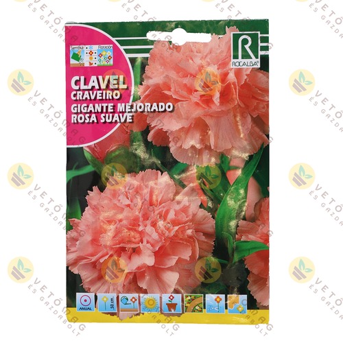 Chabaud Szegf� - R�zsasz�n 1 g