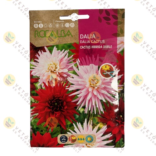 Dália - Dupla - Kaktusz 0,5 g