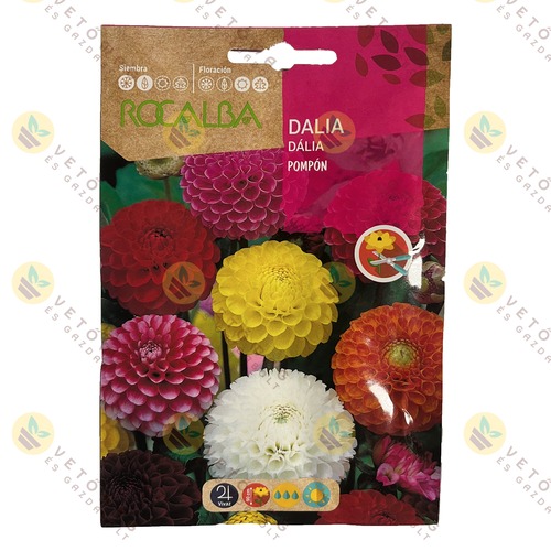 Dália - Pompon 2 g