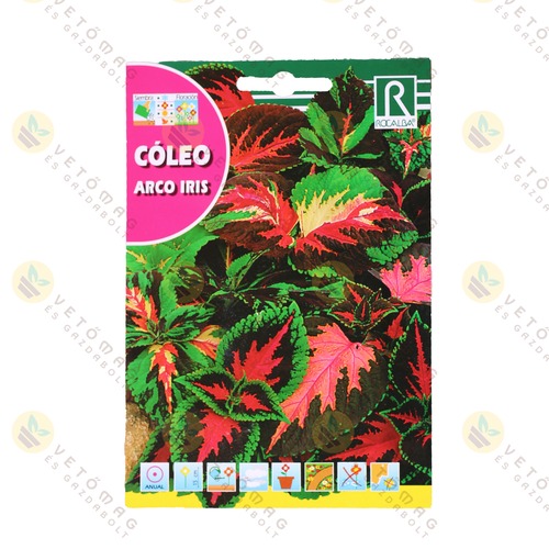 D�szcsal�n 0,5 g