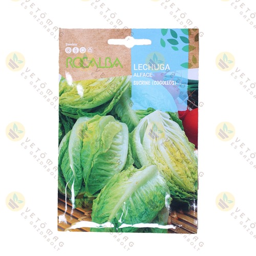 Saláta - Sucrine 3 g