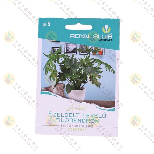 Szeldelt Level� Filodendron 16 szem
