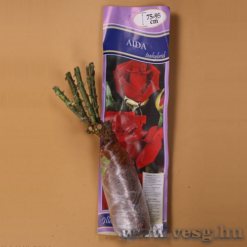 Rzsat Teahybrid - Aida 1 t