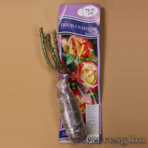 Rzsat Teahybrid - Double Parfume 1 t