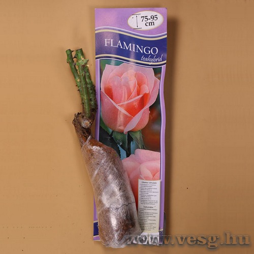 Rzsat Teahybrid - Falmingo 1 t